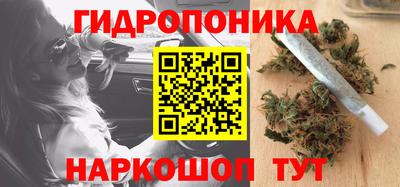 дурь Будённовск