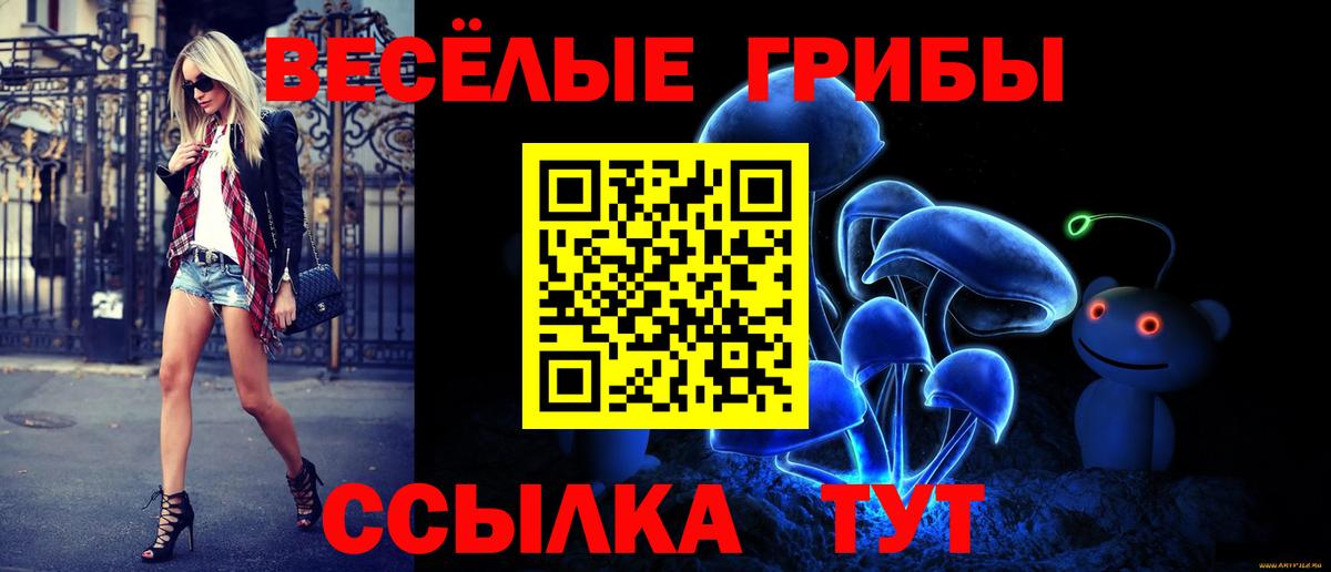 Рузаевка  Галлюциногенные грибы Magic Shrooms  Вход с VPN 