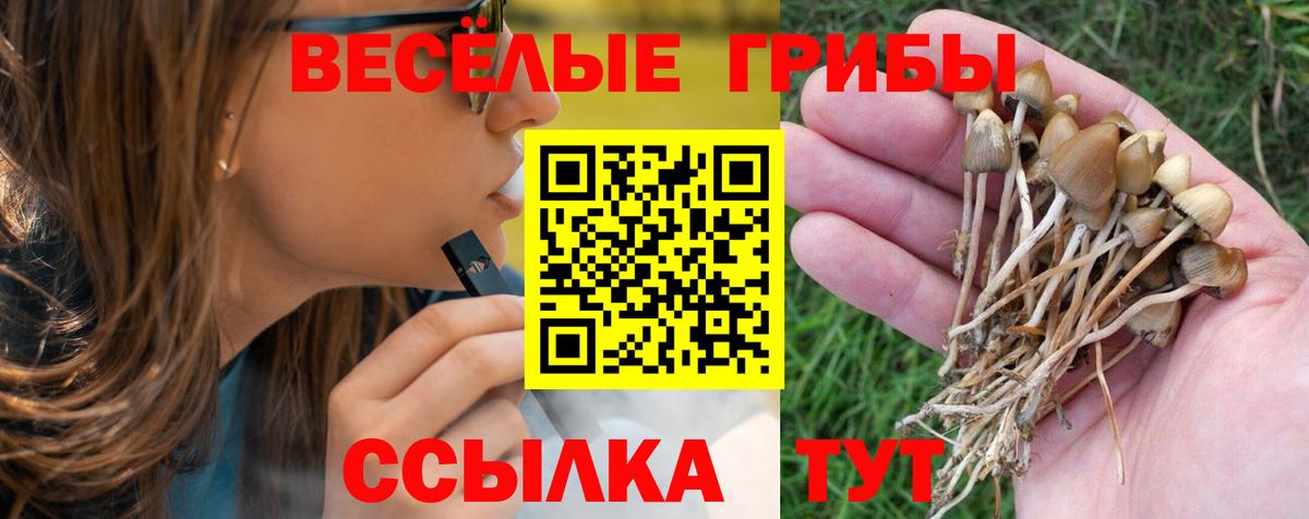 Псилоцибиновые грибы MAGIC MUSHROOMS Рузаевка